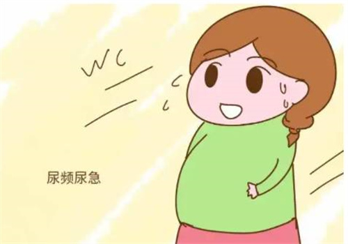做好卵泡監(jiān)測(cè)，科學(xué)備孕事半功倍