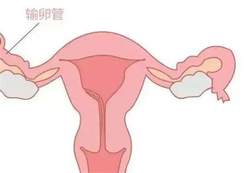 人工授精只是一項(xiàng)小手術(shù)，并不會(huì)讓女性覺(jué)得痛